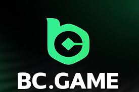 Experience Excitement at BC.Game Casino Experience Excitement at BC.Game Casino