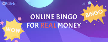 What Bingo Sites Are Not Understanding the Misconceptions
